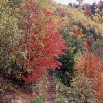 北海道で紅葉の絶景を楽しむ【2泊3日】